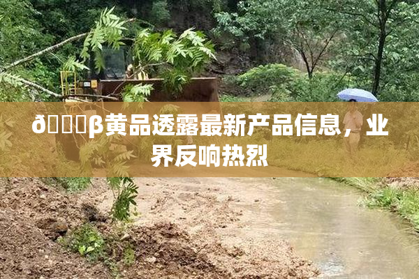 🔞β黄品透露最新产品信息，业界反响热烈