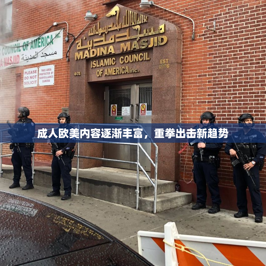 成人欧美内容逐渐丰富，重拳出击新趋势