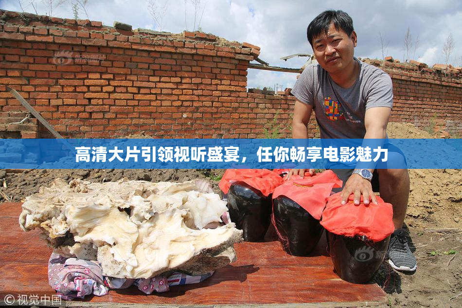 高清大片引领视听盛宴，任你畅享电影魅力
