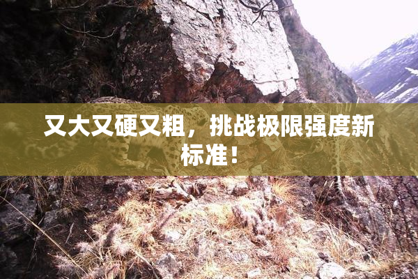 又大又硬又粗，挑战极限强度新标准！