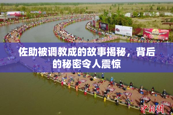 佐助被调教成的故事揭秘，背后的秘密令人震惊