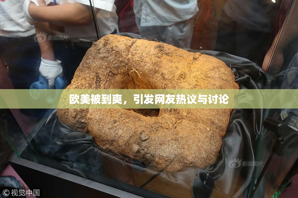 欧美被到爽，引发网友热议与讨论