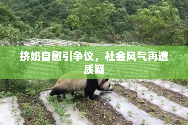 挤奶自慰引争议，社会风气再遭质疑