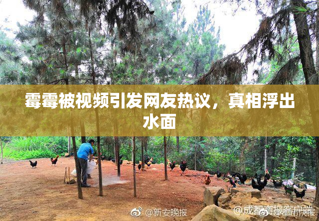 霉霉被视频引发网友热议，真相浮出水面