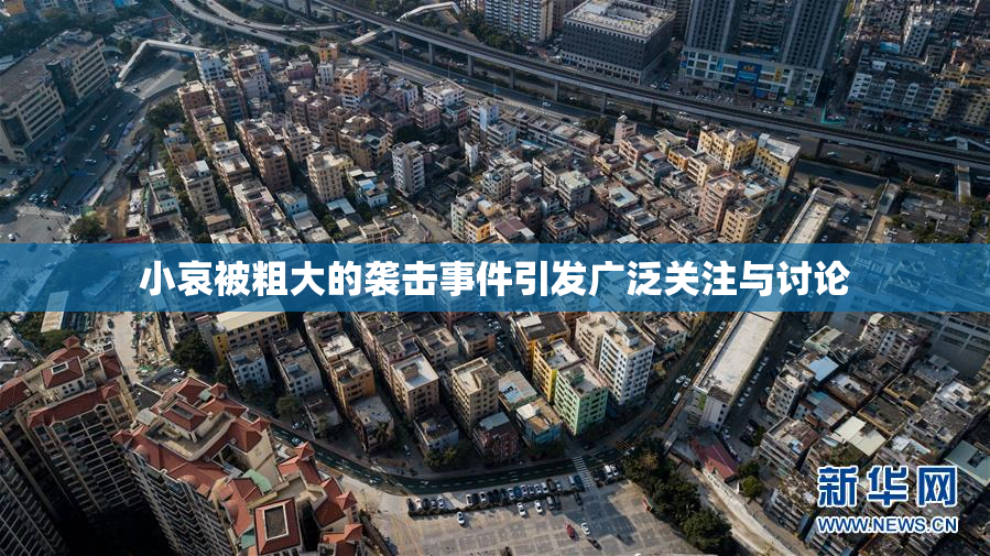 小哀被粗大的袭击事件引发广泛关注与讨论