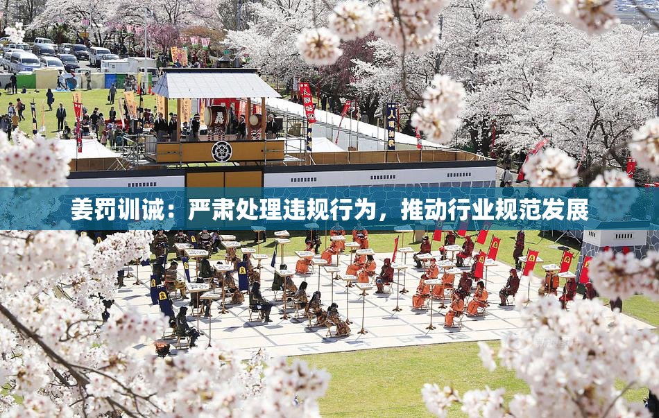 姜罚训诫：严肃处理违规行为，推动行业规范发展