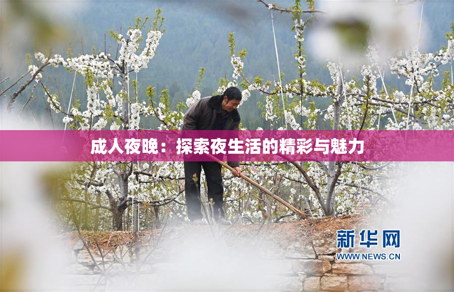 成人夜晚：探索夜生活的精彩与魅力