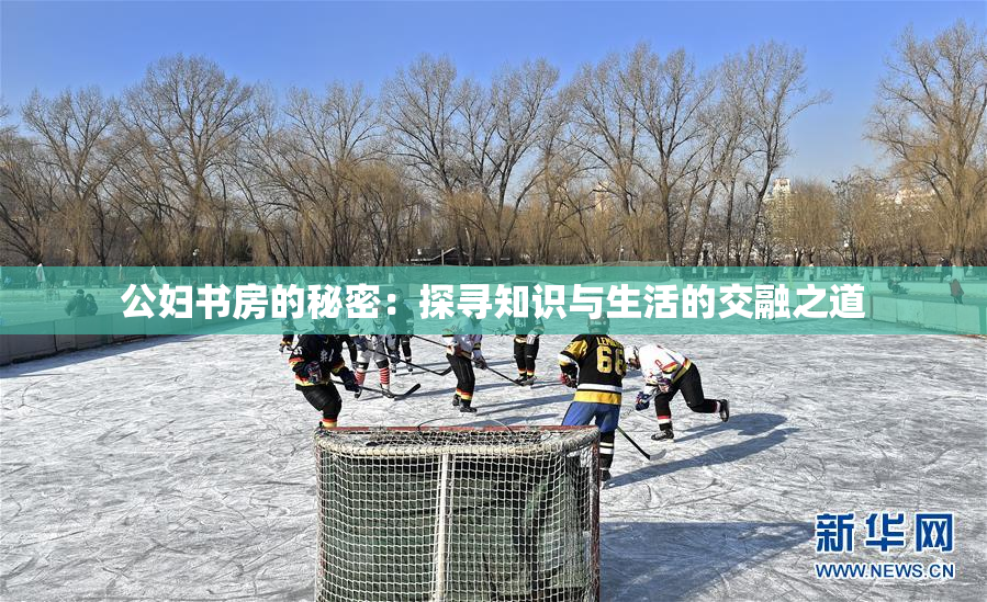 公妇书房的秘密：探寻知识与生活的交融之道