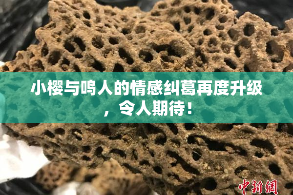 小樱与鸣人的情感纠葛再度升级，令人期待！