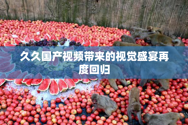 久久国产视频带来的视觉盛宴再度回归