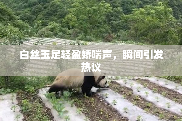 白丝玉足轻盈娇喘声，瞬间引发热议