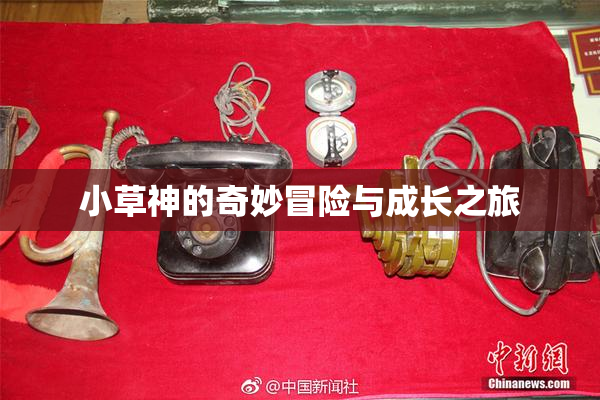 小草神的奇妙冒险与成长之旅