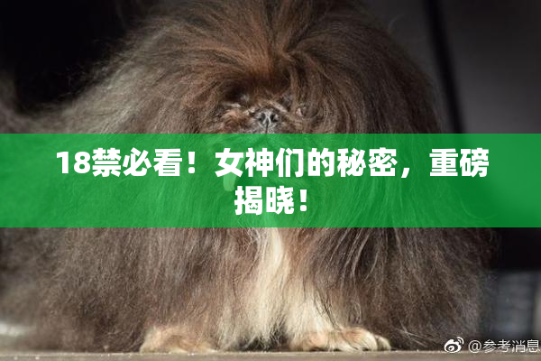 18禁必看！女神们的秘密，重磅揭晓！
