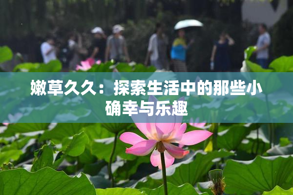 嫩草久久：探索生活中的那些小确幸与乐趣
