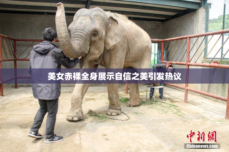 美女赤裸全身展示自信之美引发热议