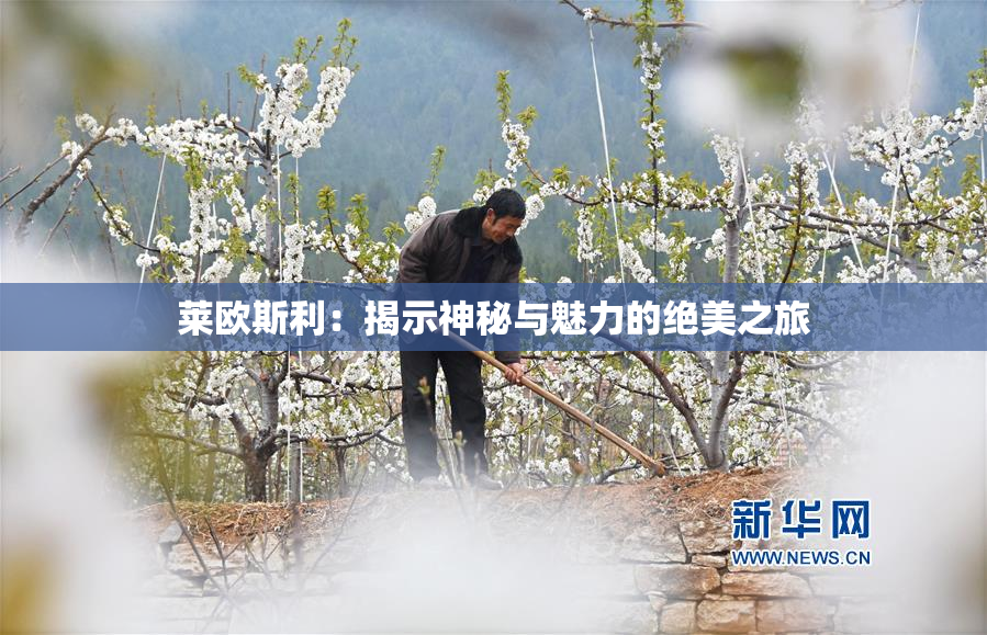 莱欧斯利：揭示神秘与魅力的绝美之旅