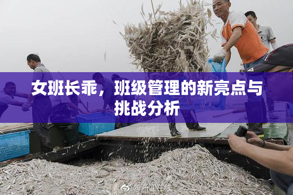 女班长乖，班级管理的新亮点与挑战分析