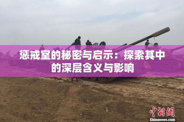惩戒室的秘密与启示：探索其中的深层含义与影响