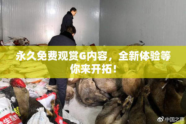 永久免费观赏G内容，全新体验等你来开拓！
