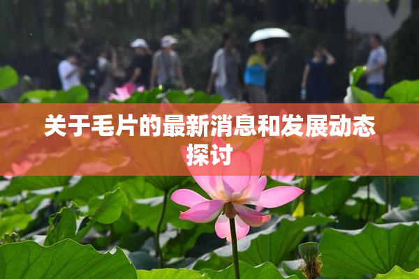 关于毛片的最新消息和发展动态探讨