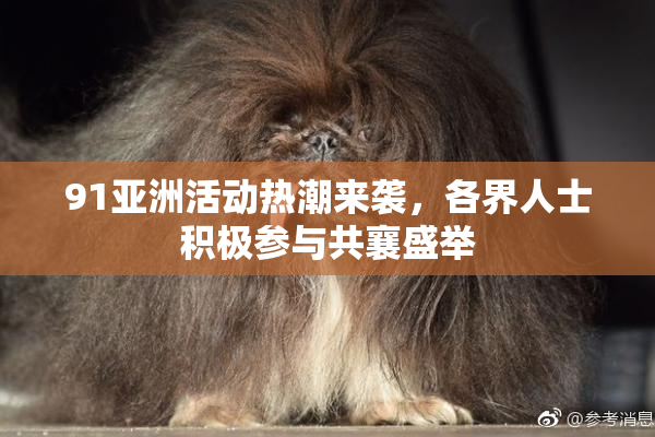 91亚洲活动热潮来袭，各界人士积极参与共襄盛举
