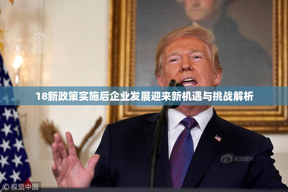 18新政策实施后企业发展迎来新机遇与挑战解析