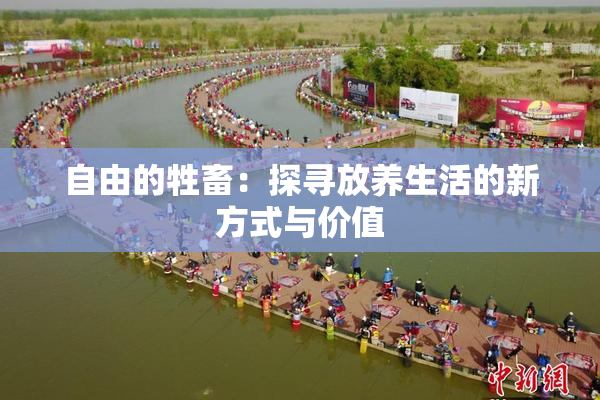 自由的牲畜：探寻放养生活的新方式与价值