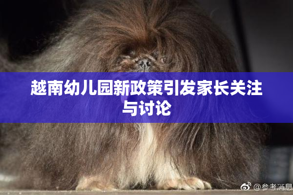 越南幼儿园新政策引发家长关注与讨论