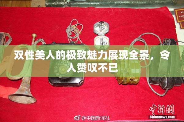 双性美人的极致魅力展现全景，令人赞叹不已