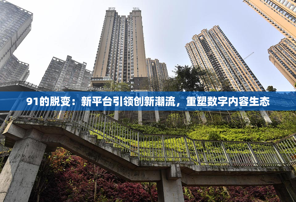 91的脱变：新平台引领创新潮流，重塑数字内容生态