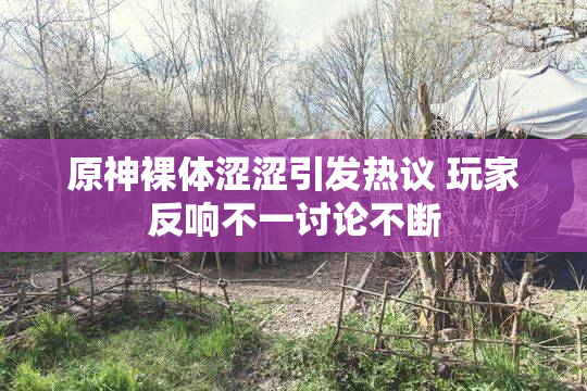 原神裸体涩涩引发热议 玩家反响不一讨论不断