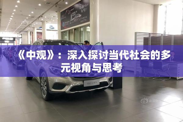 《中观》：深入探讨当代社会的多元视角与思考
