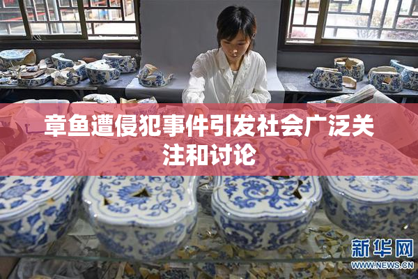 章鱼遭侵犯事件引发社会广泛关注和讨论