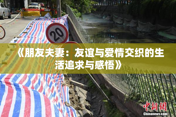 《朋友夫妻：友谊与爱情交织的生活追求与感悟》