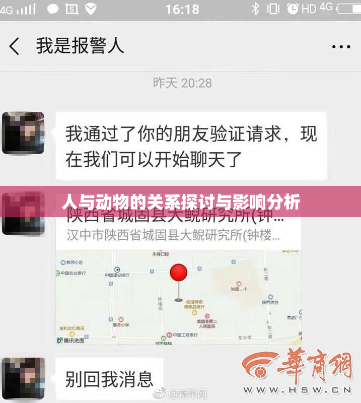 人与动物的关系探讨与影响分析