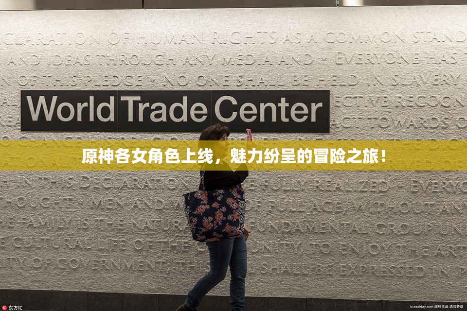 原神各女角色上线，魅力纷呈的冒险之旅！