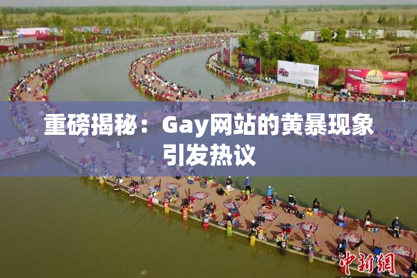 重磅揭秘：Gay网站的黄暴现象引发热议