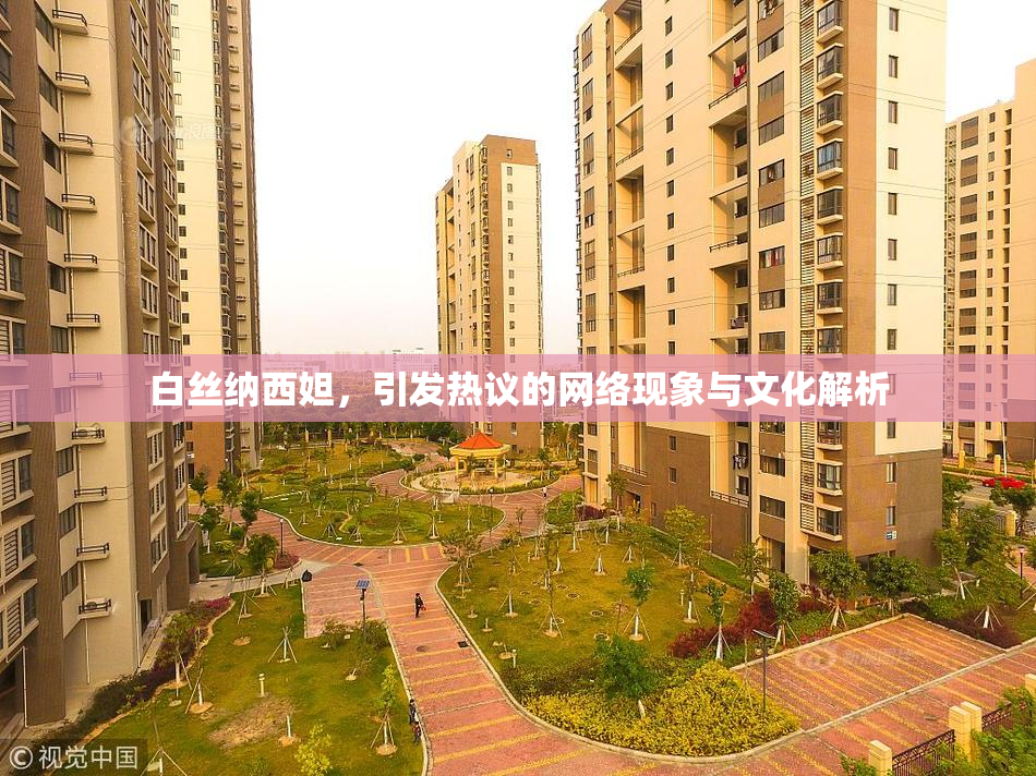 白丝纳西妲，引发热议的网络现象与文化解析