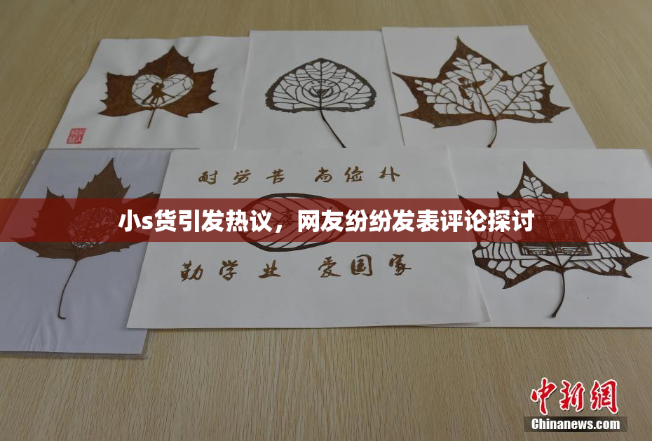 小s货引发热议，网友纷纷发表评论探讨