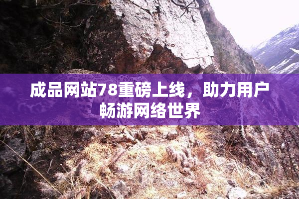 成品网站78重磅上线，助力用户畅游网络世界