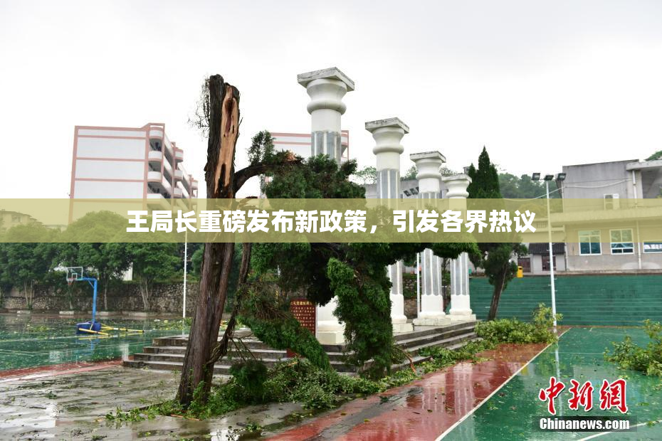 王局长重磅发布新政策，引发各界热议