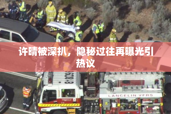 许晴被深扒，隐秘过往再曝光引热议