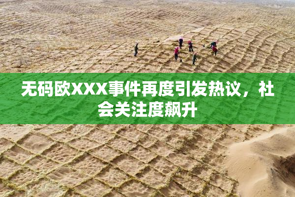 无码欧XXX事件再度引发热议，社会关注度飙升