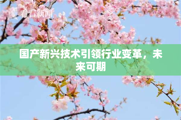国产新兴技术引领行业变革，未来可期