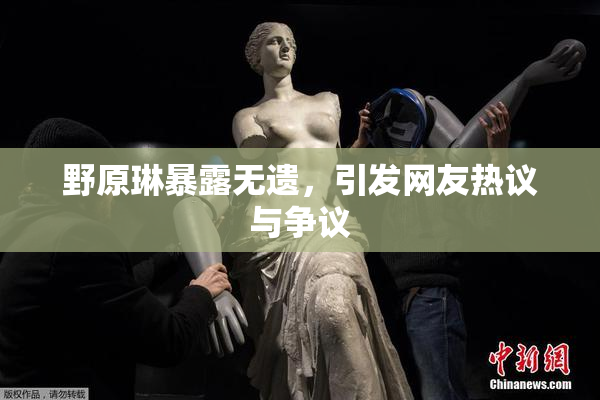 野原琳暴露无遗，引发网友热议与争议