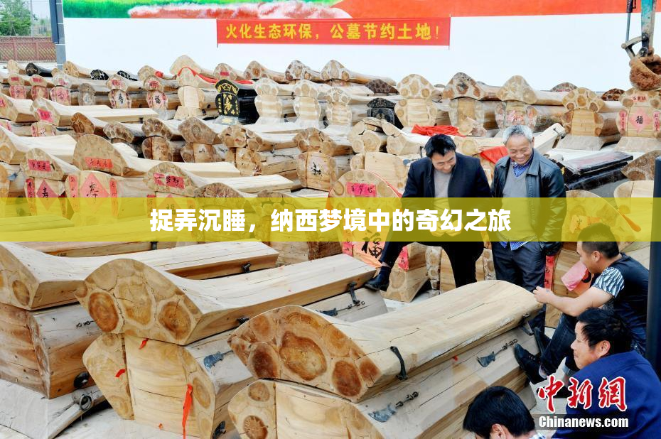 捉弄沉睡，纳西梦境中的奇幻之旅