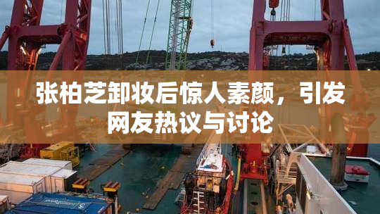 张柏芝卸妆后惊人素颜，引发网友热议与讨论