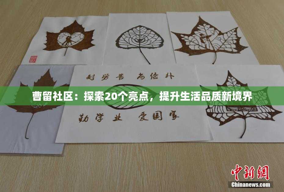 曹留社区：探索20个亮点，提升生活品质新境界