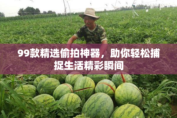 99款精选偷拍神器，助你轻松捕捉生活精彩瞬间