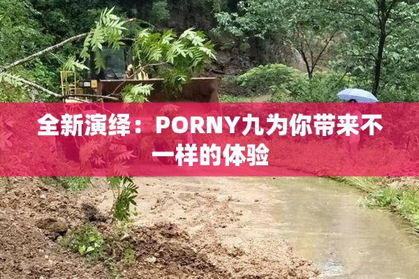 全新演绎：PORNY九为你带来不一样的体验
